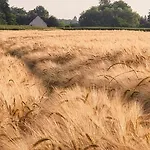 Le Aux Cerfs Отель типа 