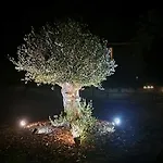 Bed & Breakfast Le Aux Cerfs