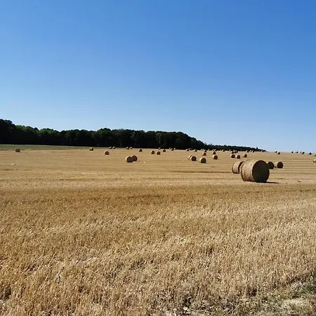 Le Aux Cerfs Bois-Jerome-Saint-Ouen