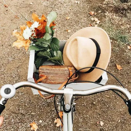 Le Aux Cerfs Couette-café