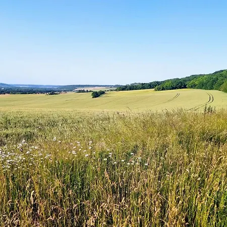 Couette-café Le Aux Cerfs Bois-Jerome-Saint-Ouen