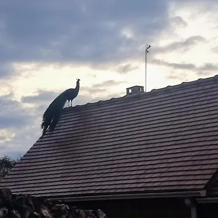 Le Aux Cerfs Oda ve Kahvaltı Bois-Jerome-Saint-Ouen