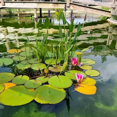 Couette-café Le Aux Cerfs Bois-Jerome-Saint-Ouen
