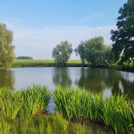 Le Aux Cerfs Couette-café Bois-Jerome-Saint-Ouen