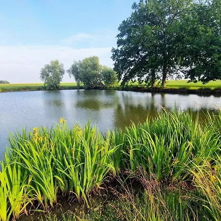 Le Aux Cerfs Couette-café Bois-Jerome-Saint-Ouen