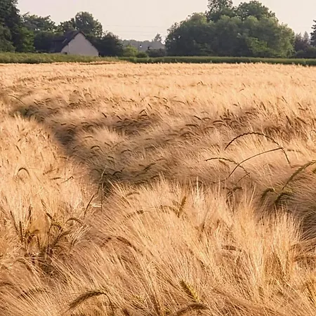 Le Aux Cerfs Couette-café 3*