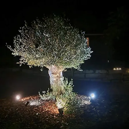 Oda ve Kahvaltı Le Aux Cerfs