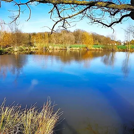 Bed & Breakfast Le Aux Cerfs Bois-Jerome-Saint-Ouen