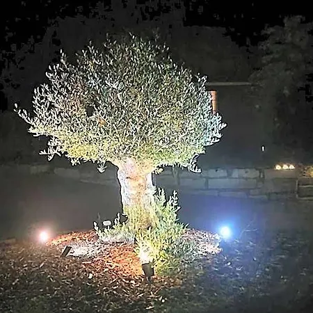 Le Aux Cerfs